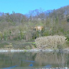 P1190332   Giardini Sigurtà.